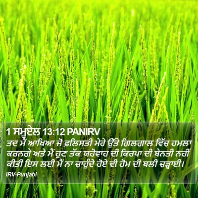 1 ਸਮੂਏਲ 13:12 PANIRV Bible Verse Image