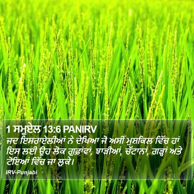 1 ਸਮੂਏਲ 13:6 PANIRV Bible Verse Image