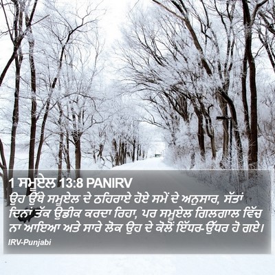 1 ਸਮੂਏਲ 13:8 PANIRV Bible Verse Image