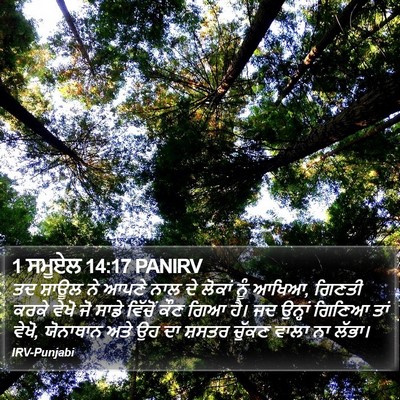 1 ਸਮੂਏਲ 14:17 PANIRV Bible Verse Image
