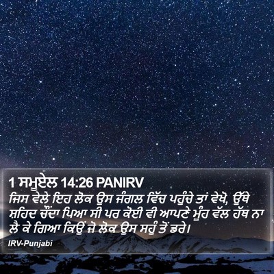 1 ਸਮੂਏਲ 14:26 PANIRV Bible Verse Image