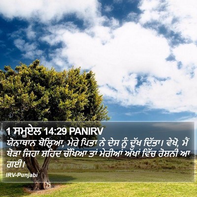 1 ਸਮੂਏਲ 14:29 PANIRV Bible Verse Image