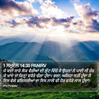 1 ਸਮੂਏਲ 14:30 PANIRV Bible Verse Image