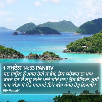 1 ਸਮੂਏਲ 14:33 PANIRV Bible Verse Image