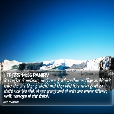 1 ਸਮੂਏਲ 14:36 PANIRV Bible Verse Image