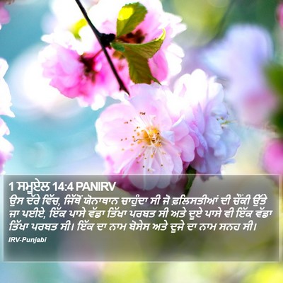1 ਸਮੂਏਲ 14:4 PANIRV Bible Verse Image