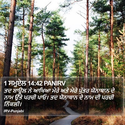 1 ਸਮੂਏਲ 14:42 PANIRV Bible Verse Image