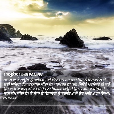 1 ਸਮੂਏਲ 14:45 PANIRV Bible Verse Image