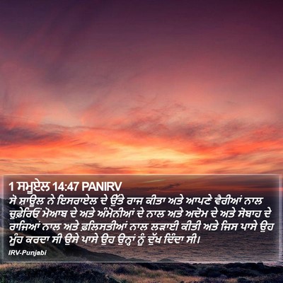 1 ਸਮੂਏਲ 14:47 PANIRV Bible Verse Image
