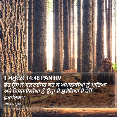 1 ਸਮੂਏਲ 14:48 PANIRV Bible Verse Image