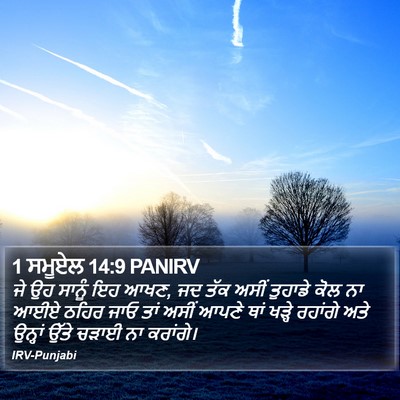 1 ਸਮੂਏਲ 14:9 PANIRV Bible Verse Image