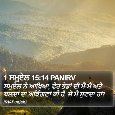 1 ਸਮੂਏਲ 15:14 PANIRV Bible Verse Image