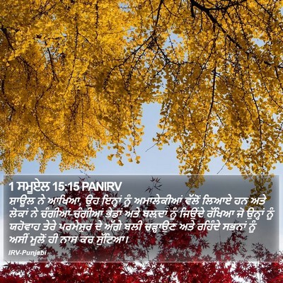 1 ਸਮੂਏਲ 15:15 PANIRV Bible Verse Image