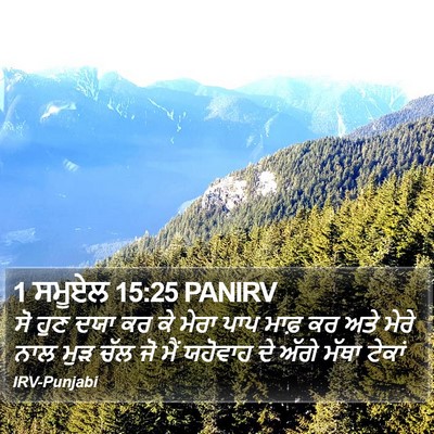 1 ਸਮੂਏਲ 15:25 PANIRV Bible Verse Image