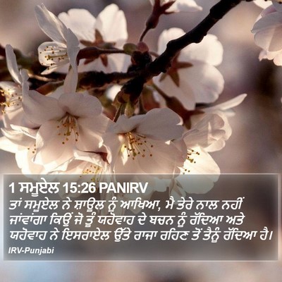 1 ਸਮੂਏਲ 15:26 PANIRV Bible Verse Image