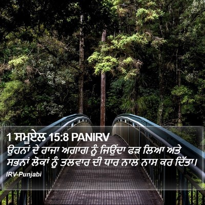 1 ਸਮੂਏਲ 15:8 PANIRV Bible Verse Image