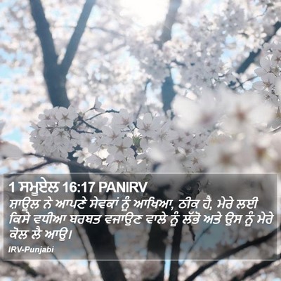 1 ਸਮੂਏਲ 16:17 PANIRV Bible Verse Image