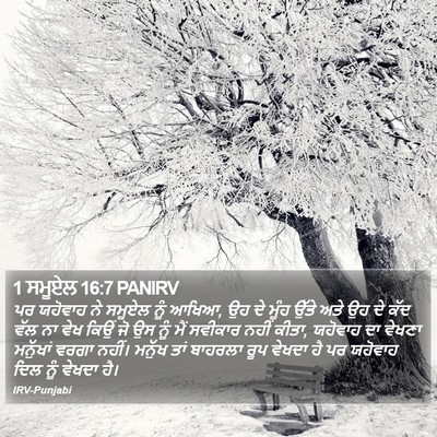 1 ਸਮੂਏਲ 16:7 PANIRV Bible Verse Image