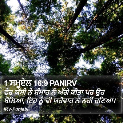 1 ਸਮੂਏਲ 16:9 PANIRV Bible Verse Image