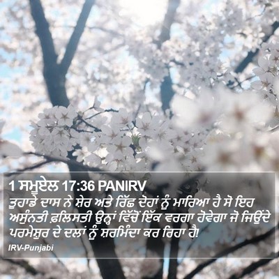 1 ਸਮੂਏਲ 17:36 PANIRV Bible Verse Image