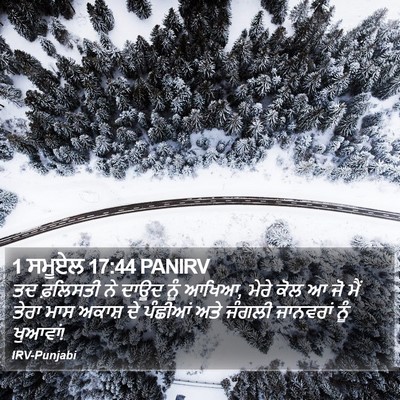 1 ਸਮੂਏਲ 17:44 PANIRV Bible Verse Image