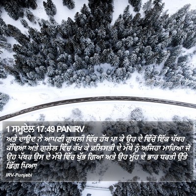 1 ਸਮੂਏਲ 17:49 PANIRV Bible Verse Image