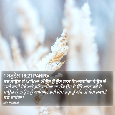 1 ਸਮੂਏਲ 18:21 PANIRV Bible Verse Image