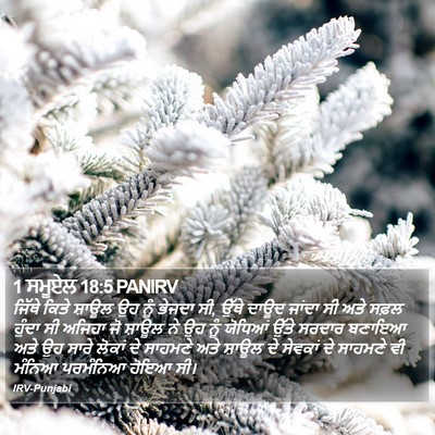 1 ਸਮੂਏਲ 18:5 PANIRV Bible Verse Image