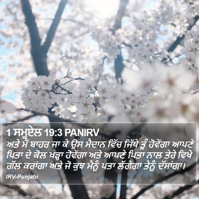 1 ਸਮੂਏਲ 19:3 PANIRV Bible Verse Image