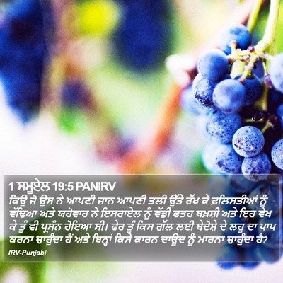 1 ਸਮੂਏਲ 19:5 PANIRV Bible Verse Image
