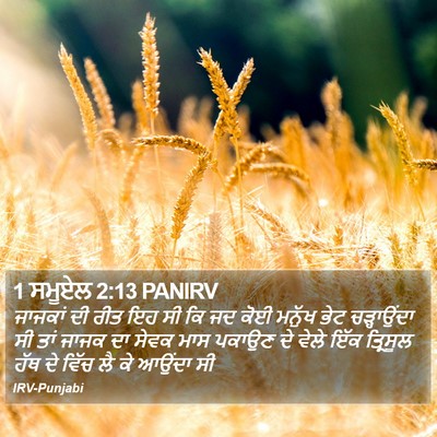 1 ਸਮੂਏਲ 2:13 PANIRV Bible Verse Image