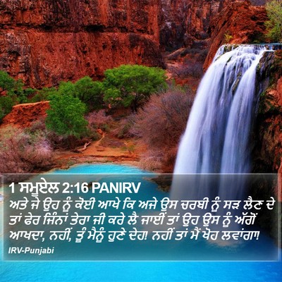 1 ਸਮੂਏਲ 2:16 PANIRV Bible Verse Image