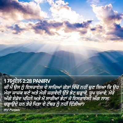 1 ਸਮੂਏਲ 2:28 PANIRV Bible Verse Image