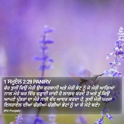 1 ਸਮੂਏਲ 2:29 PANIRV Bible Verse Image