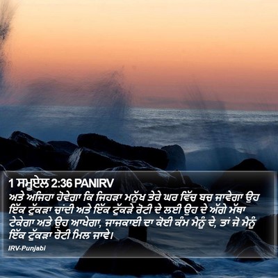 1 ਸਮੂਏਲ 2:36 PANIRV Bible Verse Image