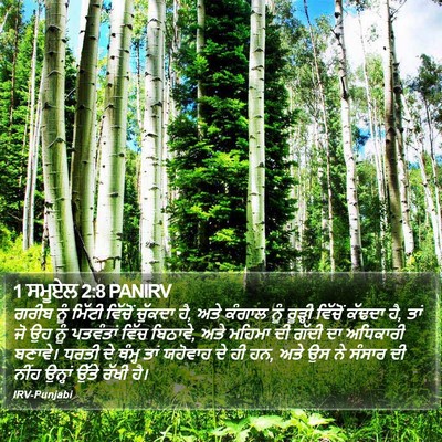 1 ਸਮੂਏਲ 2:8 PANIRV Bible Verse Image