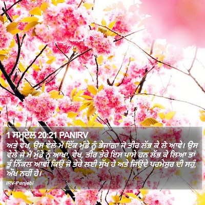 1 ਸਮੂਏਲ 20:21 PANIRV Bible Verse Image