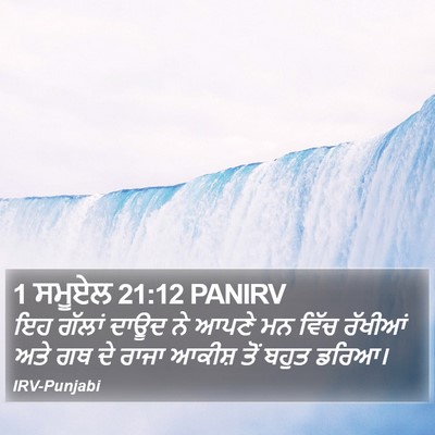 1 ਸਮੂਏਲ 21:12 PANIRV Bible Verse Image