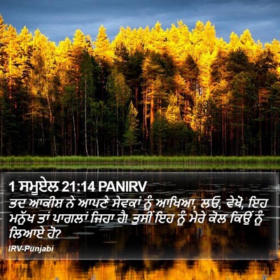 1 ਸਮੂਏਲ 21:14 PANIRV Bible Verse Image