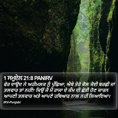 1 ਸਮੂਏਲ 21:8 PANIRV Bible Verse Image