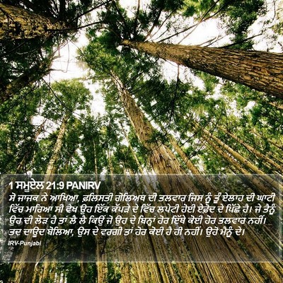 1 ਸਮੂਏਲ 21:9 PANIRV Bible Verse Image