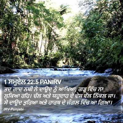 1 ਸਮੂਏਲ 22:5 PANIRV Bible Verse Image