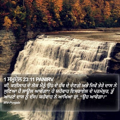 1 ਸਮੂਏਲ 23:11 PANIRV Bible Verse Image