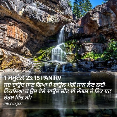 1 ਸਮੂਏਲ 23:15 PANIRV Bible Verse Image