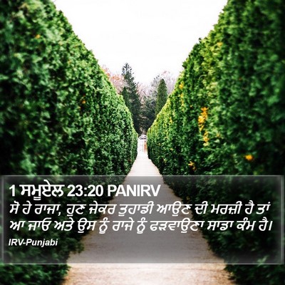 1 ਸਮੂਏਲ 23:20 PANIRV Bible Verse Image