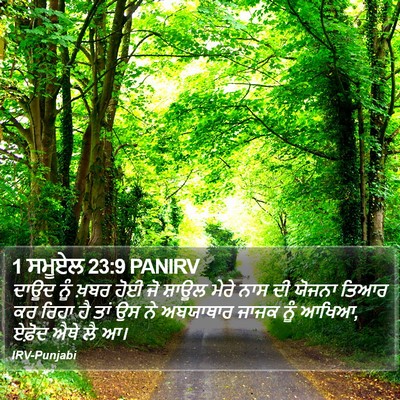 1 ਸਮੂਏਲ 23:9 PANIRV Bible Verse Image