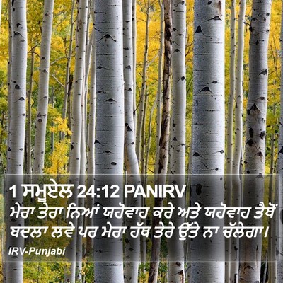 1 ਸਮੂਏਲ 24:12 PANIRV Bible Verse Image