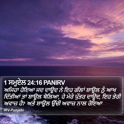 1 ਸਮੂਏਲ 24:16 PANIRV Bible Verse Image