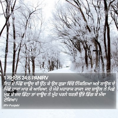 1 ਸਮੂਏਲ 24:8 PANIRV Bible Verse Image