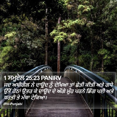 1 ਸਮੂਏਲ 25:23 PANIRV Bible Verse Image